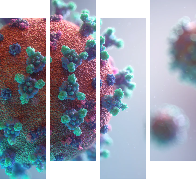 Imagem meramente ilustrativa  da molécula  do vírus  Covid-19.